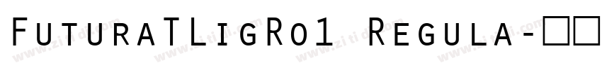FuturaTLigRo1 Regula字体转换